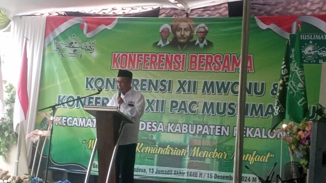 WhatsApp Image 2024-12-15 at 12.32.58